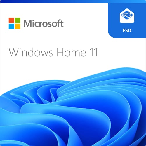 Microsoft Windows 11 Home 64b ESD
