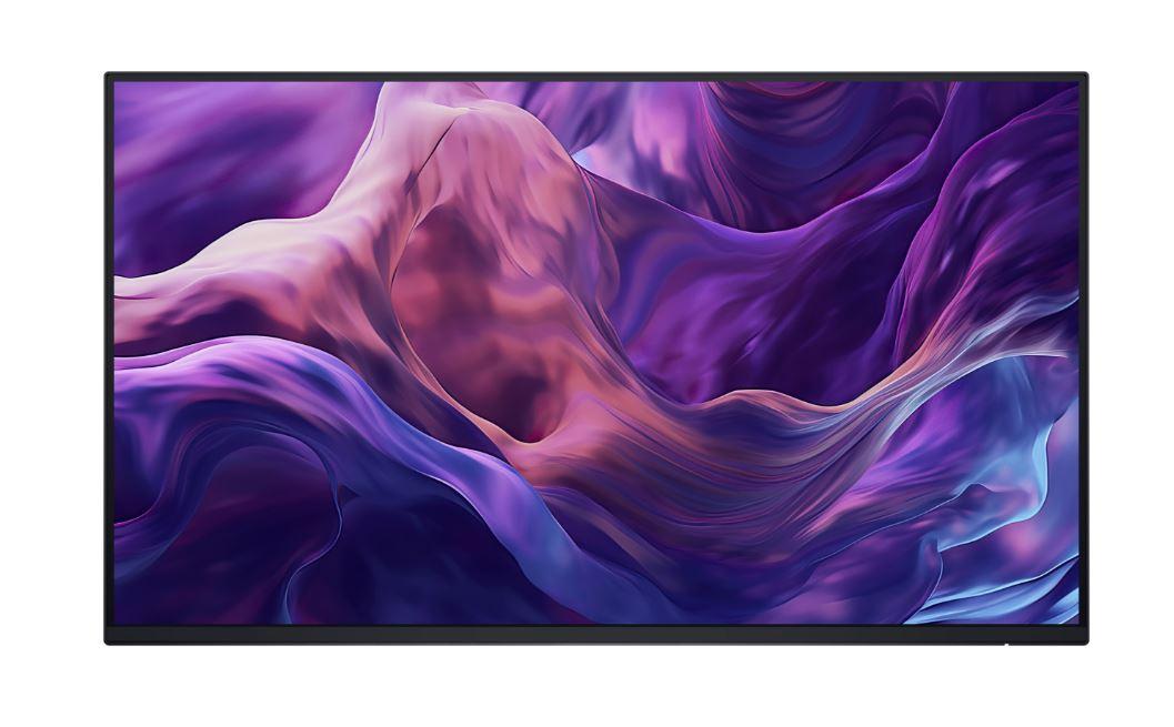 DELL 24 MONITOR - P2425H WOST