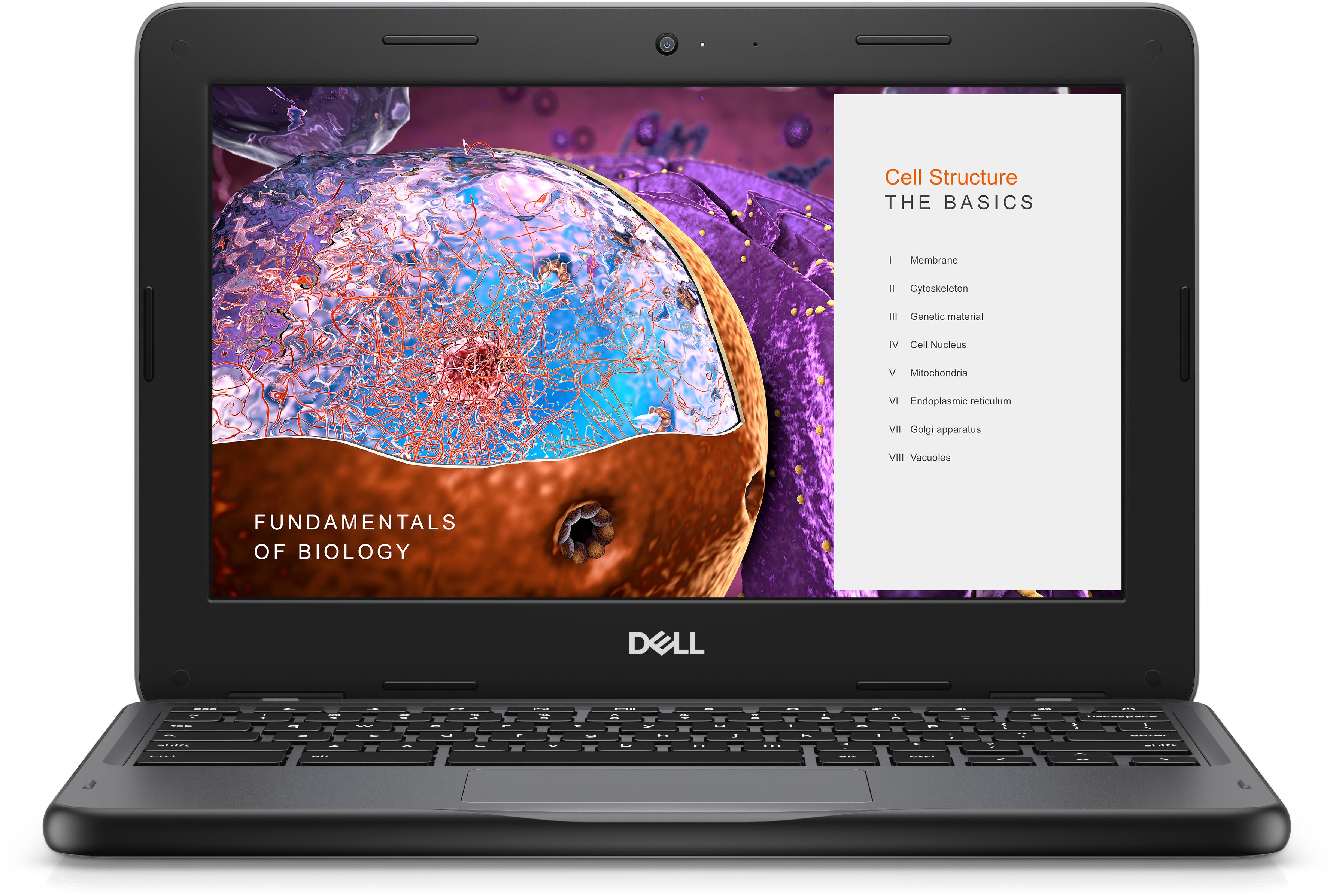 DELL Chromebook 3110 Intel Celeron N N4500 295 cm 11.6 Touch screen HD 4 GB LPDDR4x-SDRAM 64 GB eMMC Wi-Fi 6 802.11ax ChromeOS