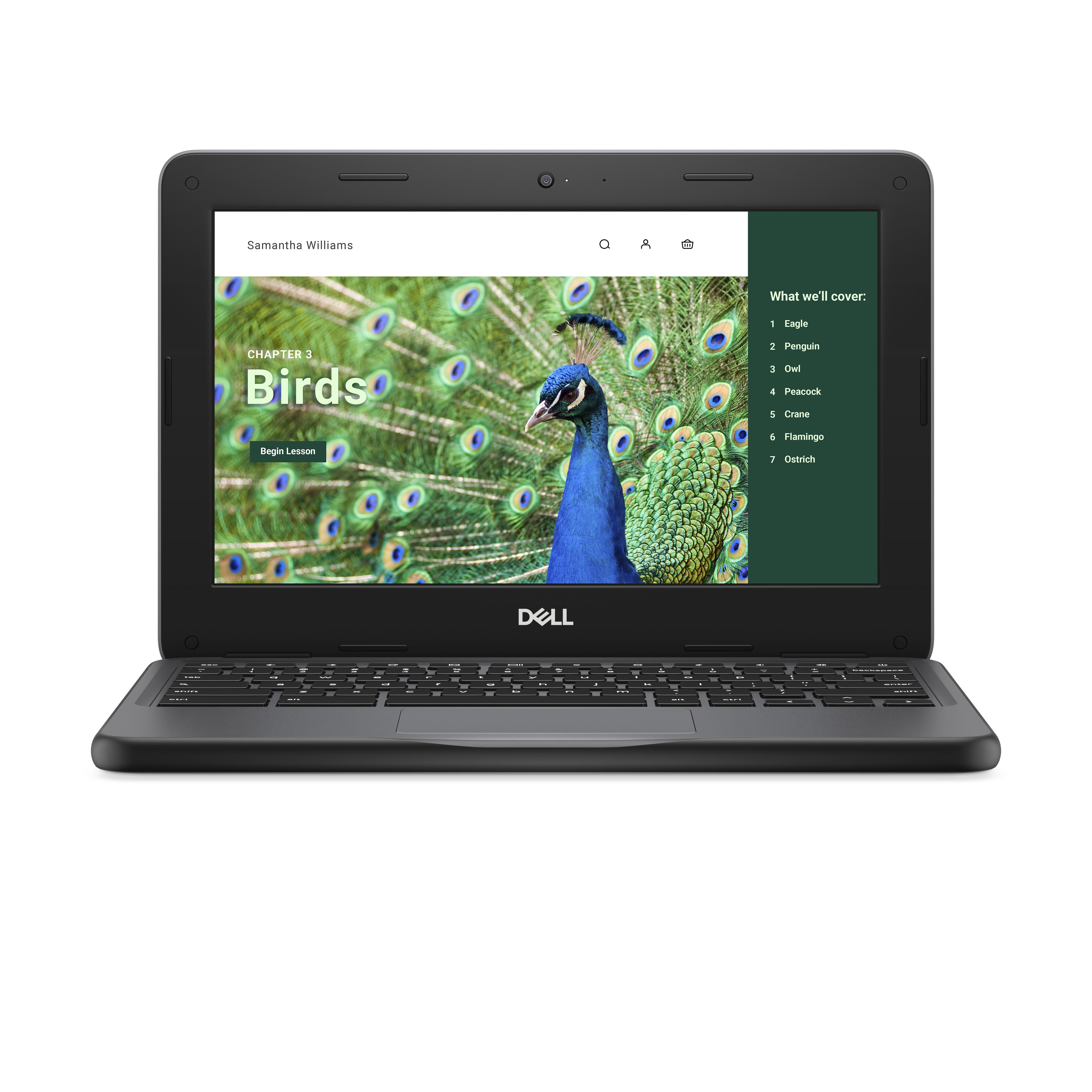 DELL Chromebook 3120 Intel...