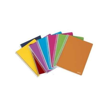 Ancor Classic Stripes Quaderno a spirale formato Folio a righe orizzontali - 80 fogli da 90 gr - Copertina in plastica - Colori