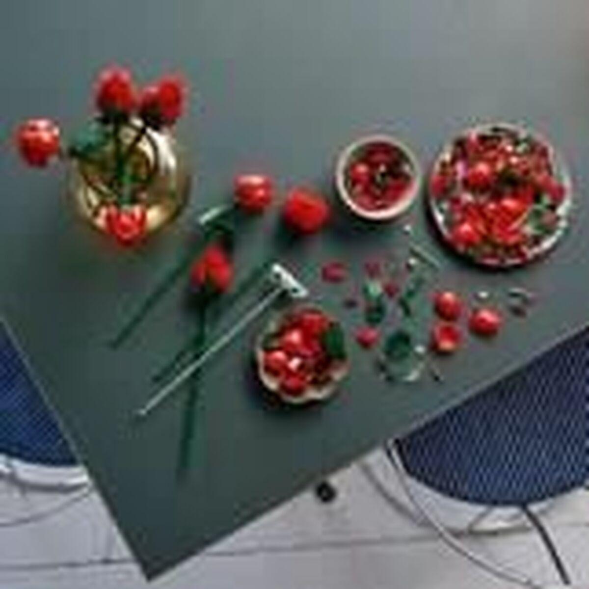 tbd-Icons-Botanicals-1-2024