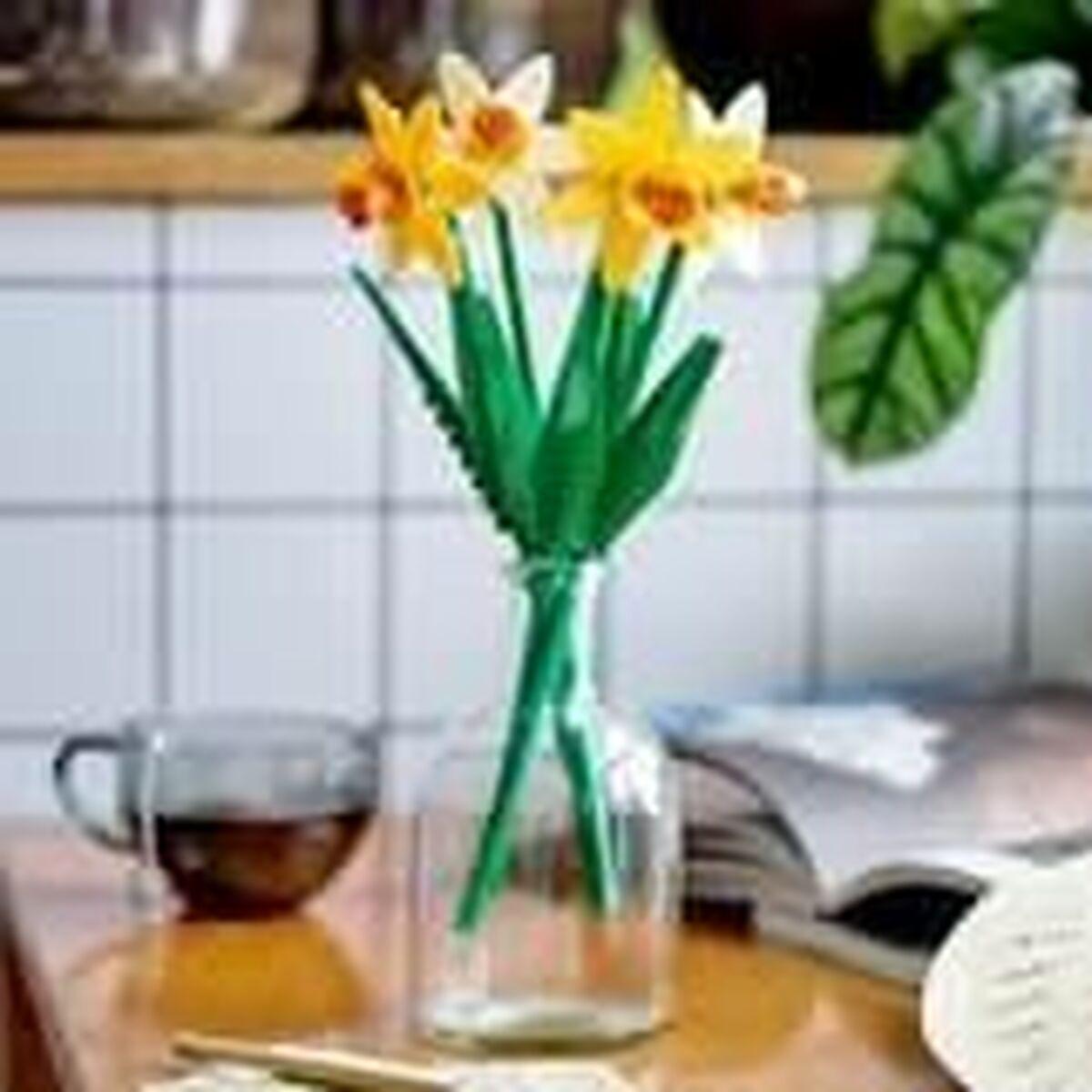 Narcisi LEGO