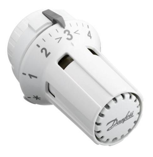 RAW 5010 - Germany - Warranty 24M