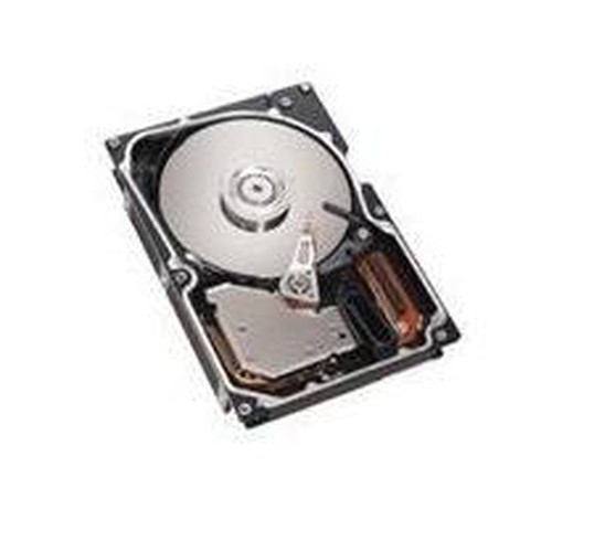 SAS 73GB 10K RPM 25" HOTSWAP