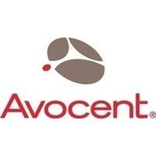 Avocent 1y Silver DSV...