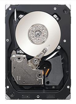 Ghepardo da 300 GB 15K SAS