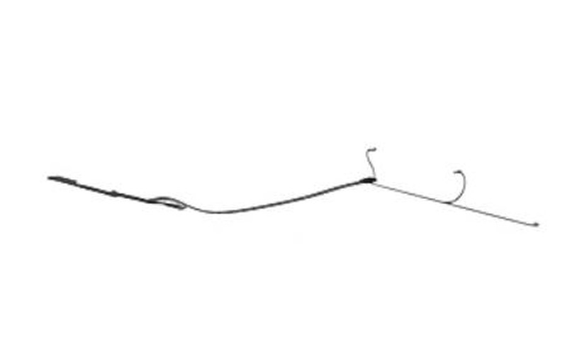 HP L44522-001 ricambio per laptop Cavo