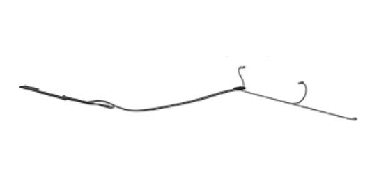 HP L44564-001 ricambio per laptop Cavo
