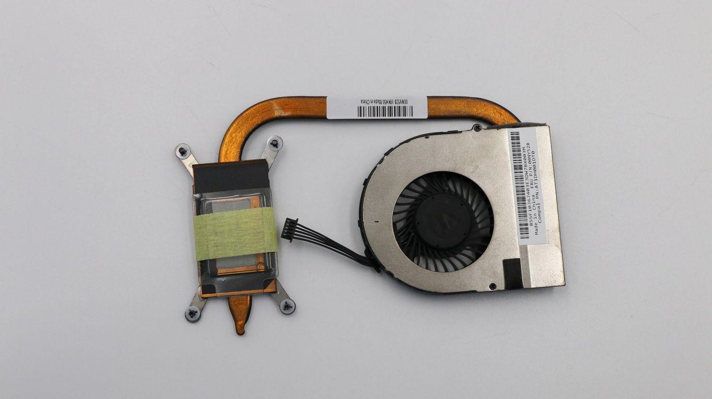 Fan