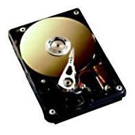 HD SAS 3Gb/s 73GB 15K hot plus