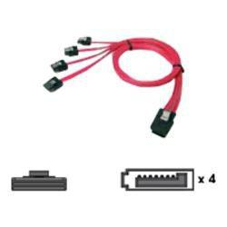 Chenbro Mini SAS da 36 pin a SATA