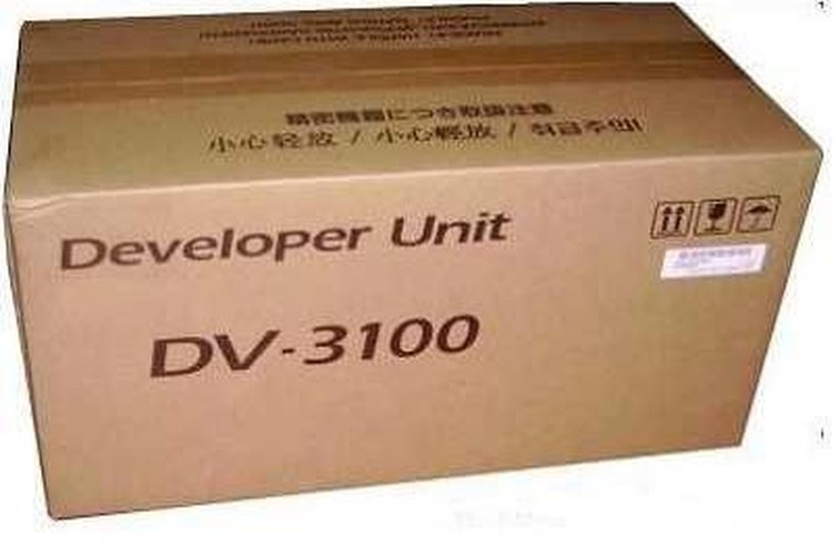 Unità sviluppatore DV-3100