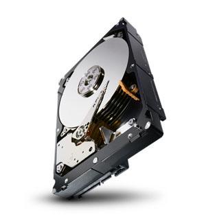 Seagate Constellation...