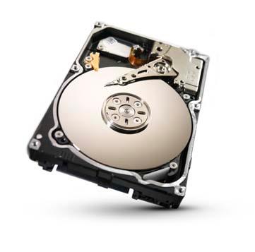 Seagate Constellation.2 2.5" 1 TB SAS