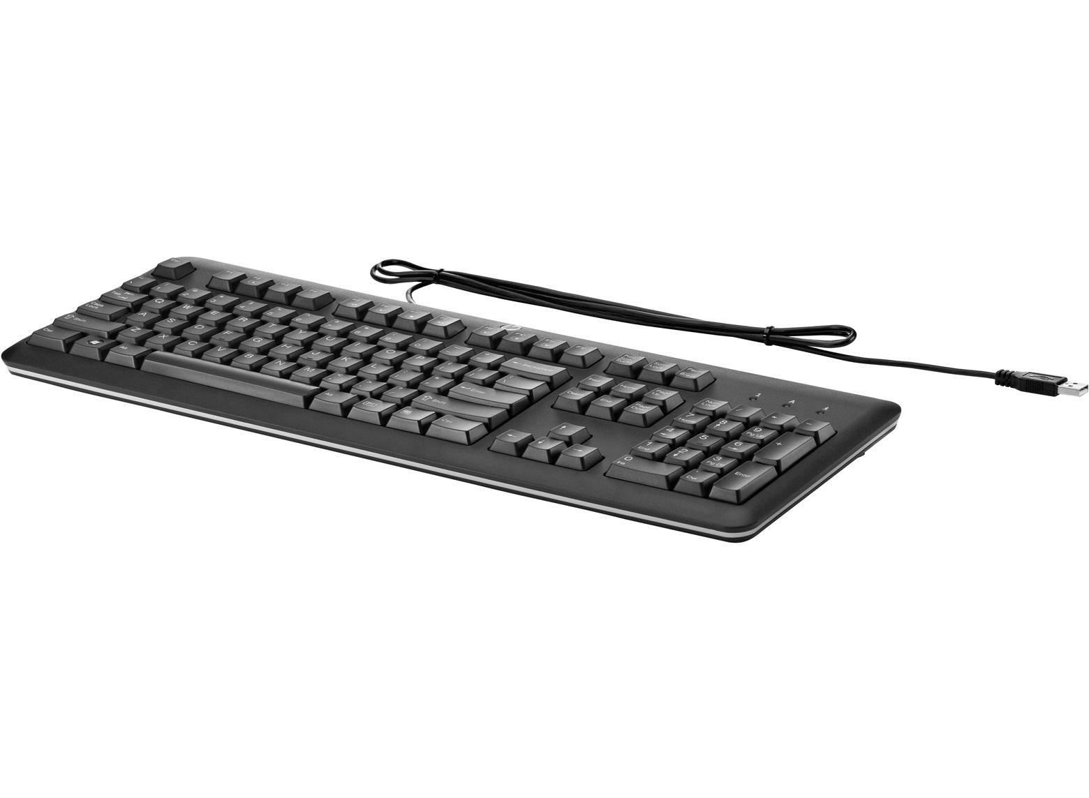 HP USB Standard Keyboard, PL tastiera QWERTY Polacco Nero