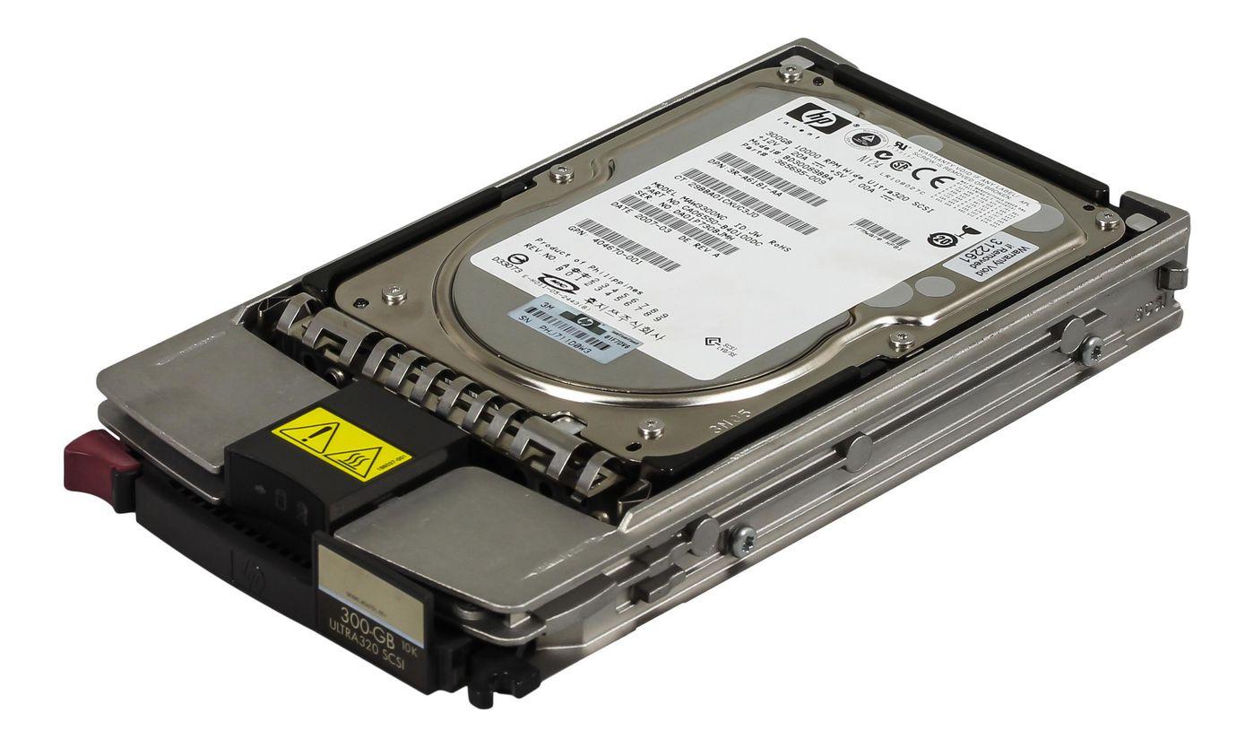 U320 da 300 Gb 10.000...