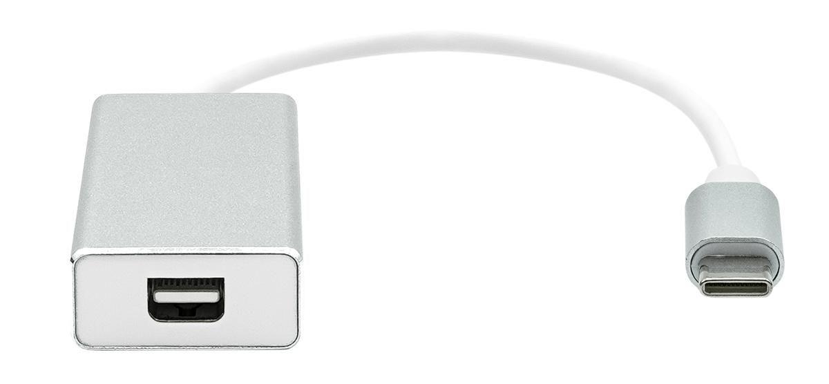 USB-C to Mini DP 20cm silver - Warranty 360M