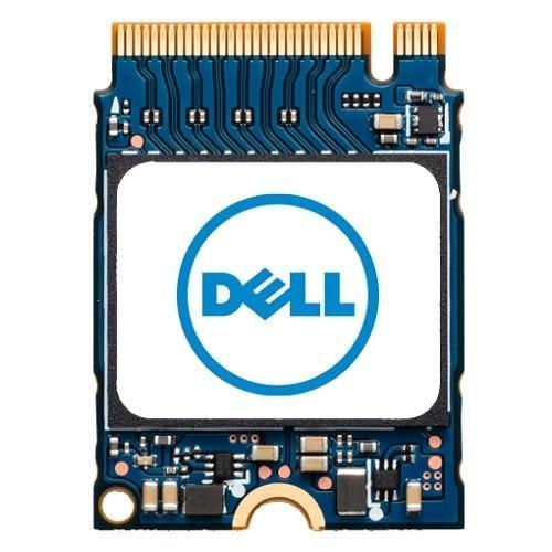 DELL SNP112233P/256G drives...