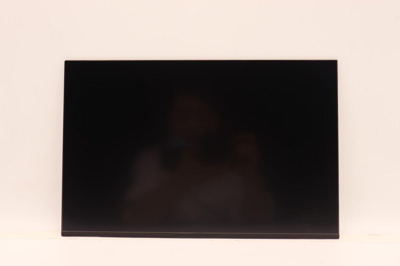 Lenovo 5D10V82401 ricambio per laptop Display (14.0-inch WUXGA LED LCD panel - for Lenovo ThinkPad - Warranty: 3M)
