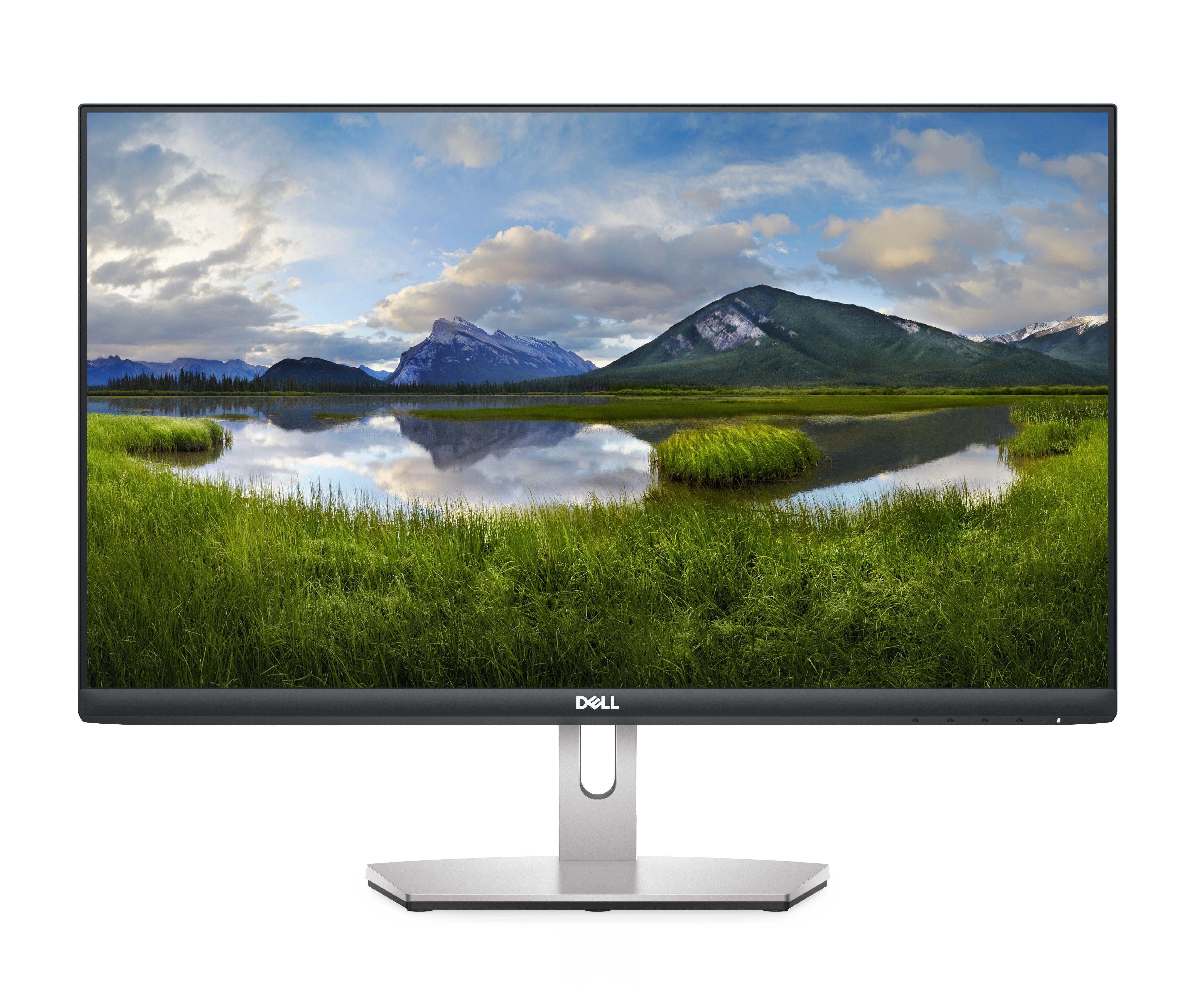 DELL S Series S2421HN LED display 605 cm (23.8") 1920 x 1080 Pixel Full HD LCD Grigio