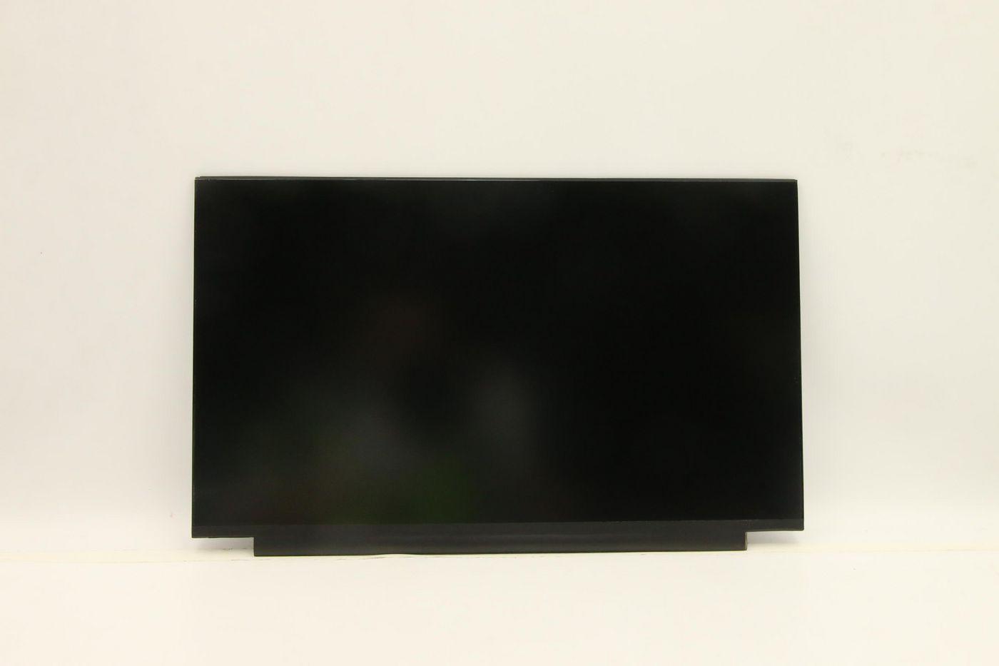 DISPLAY FRU AUO B156HTN06.2
