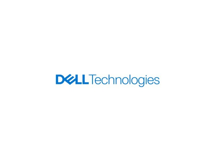 G14-G16 960-GB 12G 2.5 SAS RI - SSD w/DXD9H - Warranty: 12M