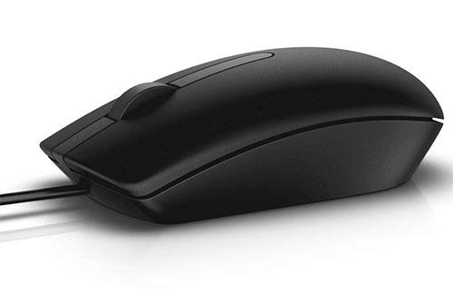 DELL MS116 mouse Ambidestro USB tipo A Ottico 1000 DPI