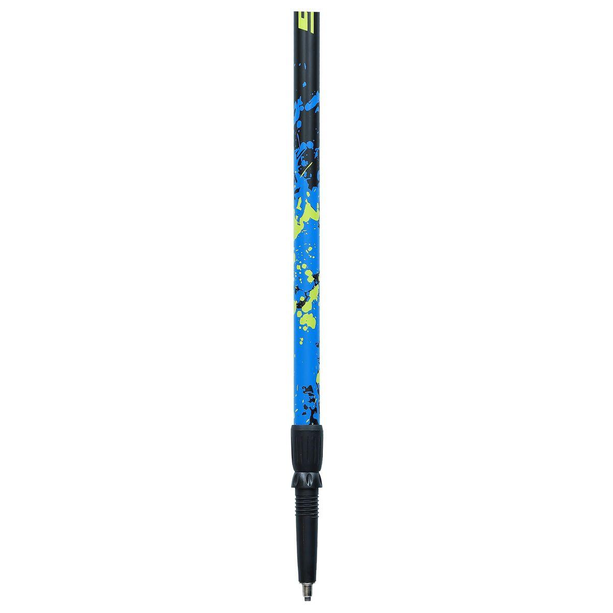 Bastone da Trekking Viking Ruten Pro Nordic Azzurro Nero (2 Unità )