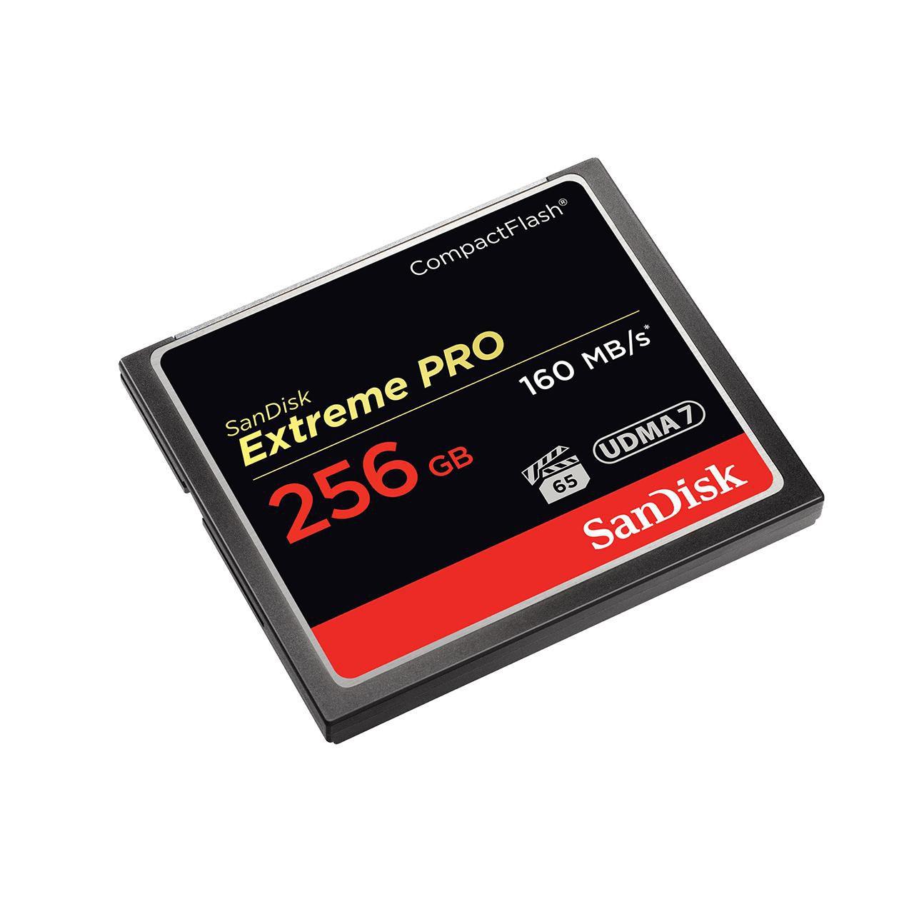 Estremo PRO CF 256 GB