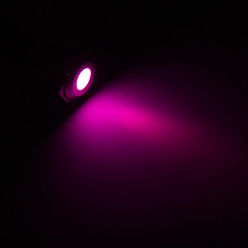LED antivandalo - viola, attacco nero
