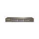 Switch 24 porte Gigabit IP-COM G1024D