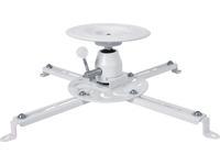 DH Beamer bianco universale 135mm