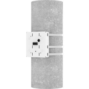 Axis T94N01G Monte (AXIS T94N01G POLE MOUNT - .)