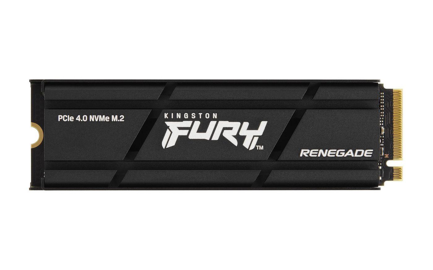 KT SSD 1T REN.NVMe M2