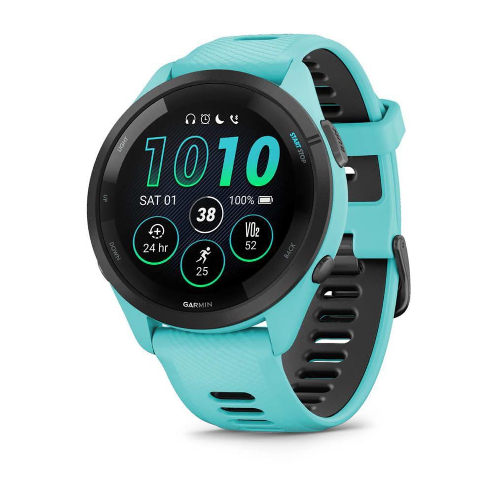 Garmin 010-02810-12...
