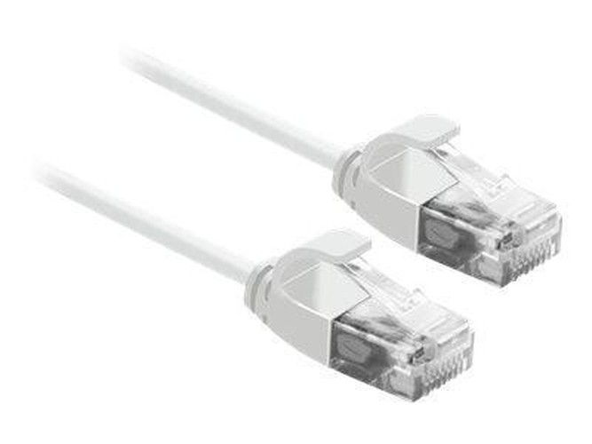 Cavo di patch Roline RJ-45...