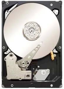 Seagate Constellation...