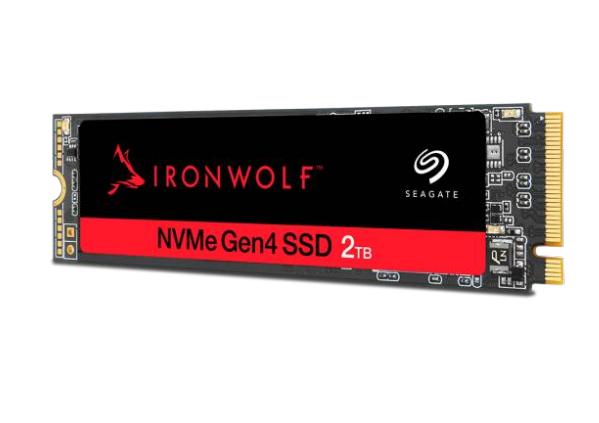 Seagate IronWolf...