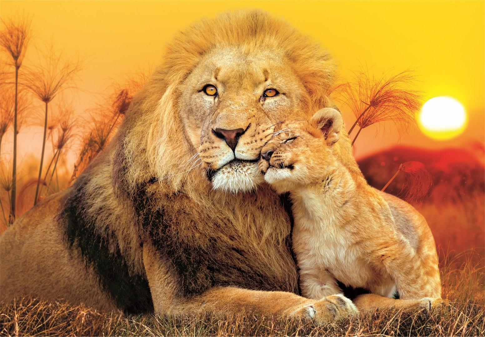 Clementoni 29785 puzzle