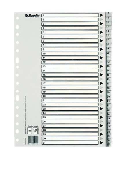 Borsa Esselte con 25 numeri in plastica Indes - Teaws da 1 a 31 - Multi-tad - Formato Folio - colore grigio