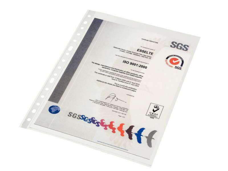 Custodia portadocumenti Esselte Folio - PP - Pelle arancione - Qualit standard multiforo-16 - Borsa 10 - Trasparente