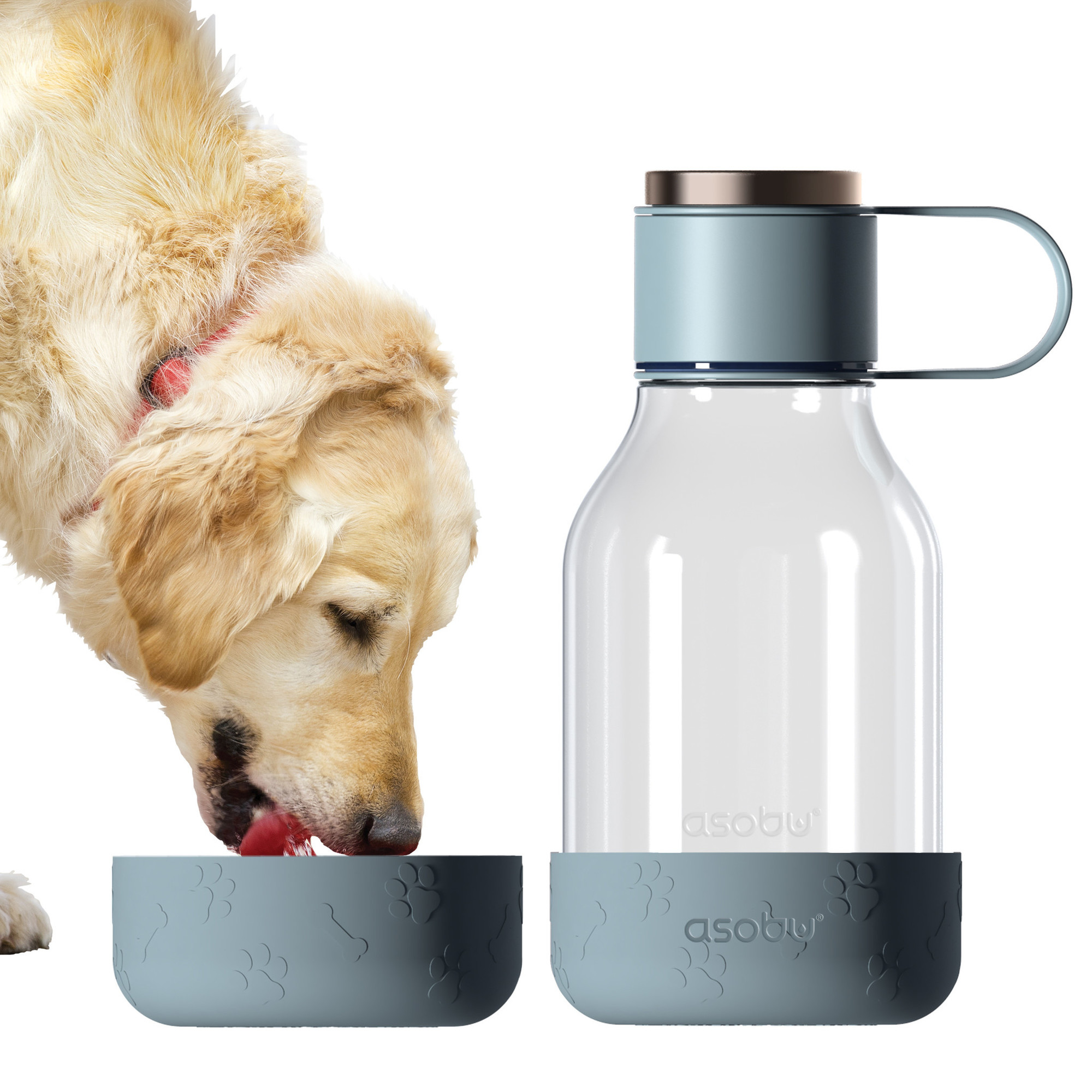 Asobu - Ciotola per cani - bottiglia in Tritan con ciotola per cani da 1,5 litri blu