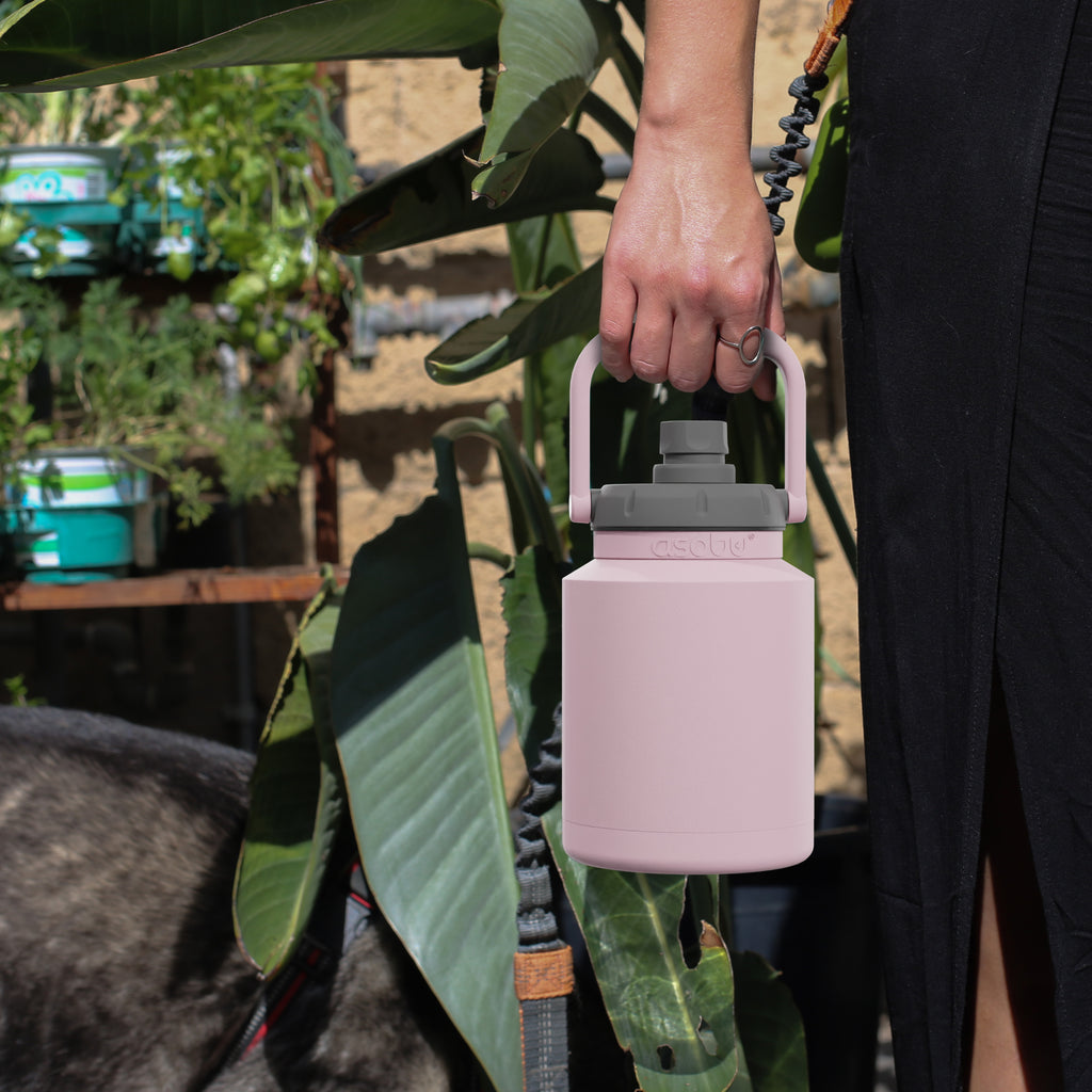 Asobu - Borraccia Mini Jug in acciaio inossidabile da 1 litro bianca