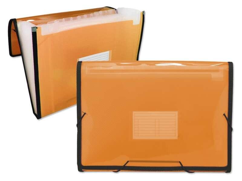 Cartella Ingraf con cornice a soffietto 13 tasche - Polipropilene traslucido - con elastici e alette - Formato A4