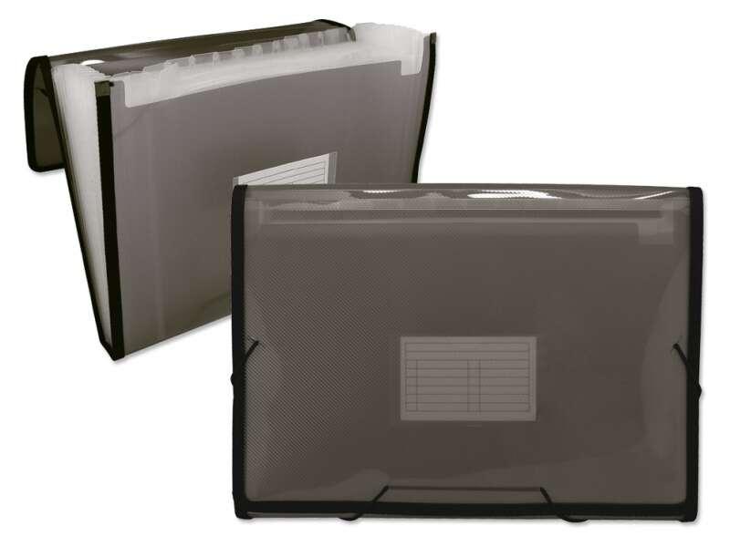 Cartella Ingraf con cornice a soffietto 13 tasche - Polipropilene traslucido - Elastici e alette - Formato A4