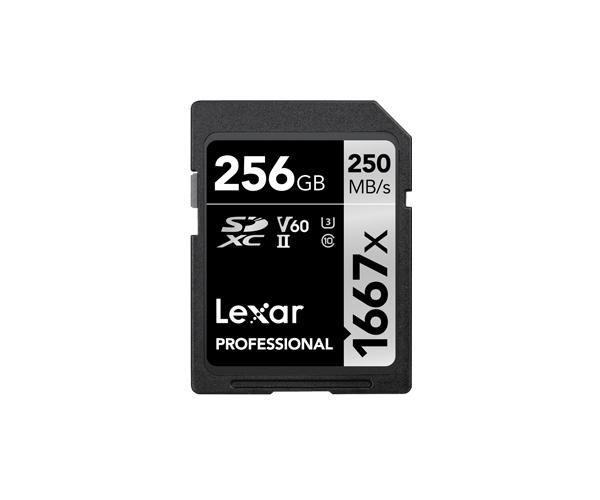 Scheda di memoria SDXC 256 GB
