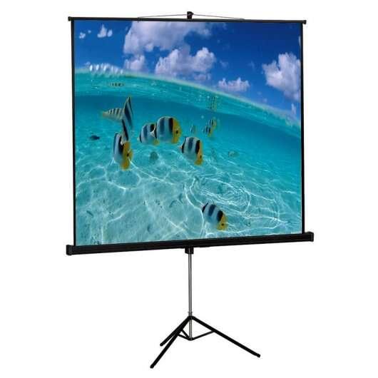 Schermata di proiezione approssimativa con viaggio da 180x180 cm - Formati: 1: 1, 4: 3 e 16: 9 - Materiale ritardato di incendio