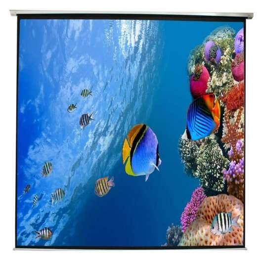 Schermata di proiezione murale approssimativa 240x240 cm 135 "Elettrico - Controllo della distanza - per tetto o parete
