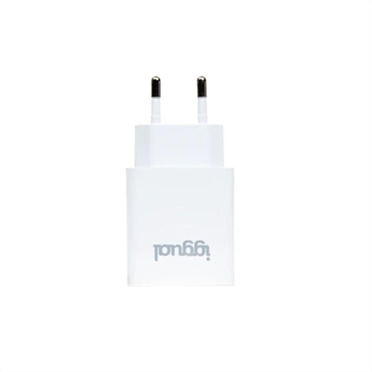 Caricabatterie rapido da muro iggual USB PD tipo C 30W